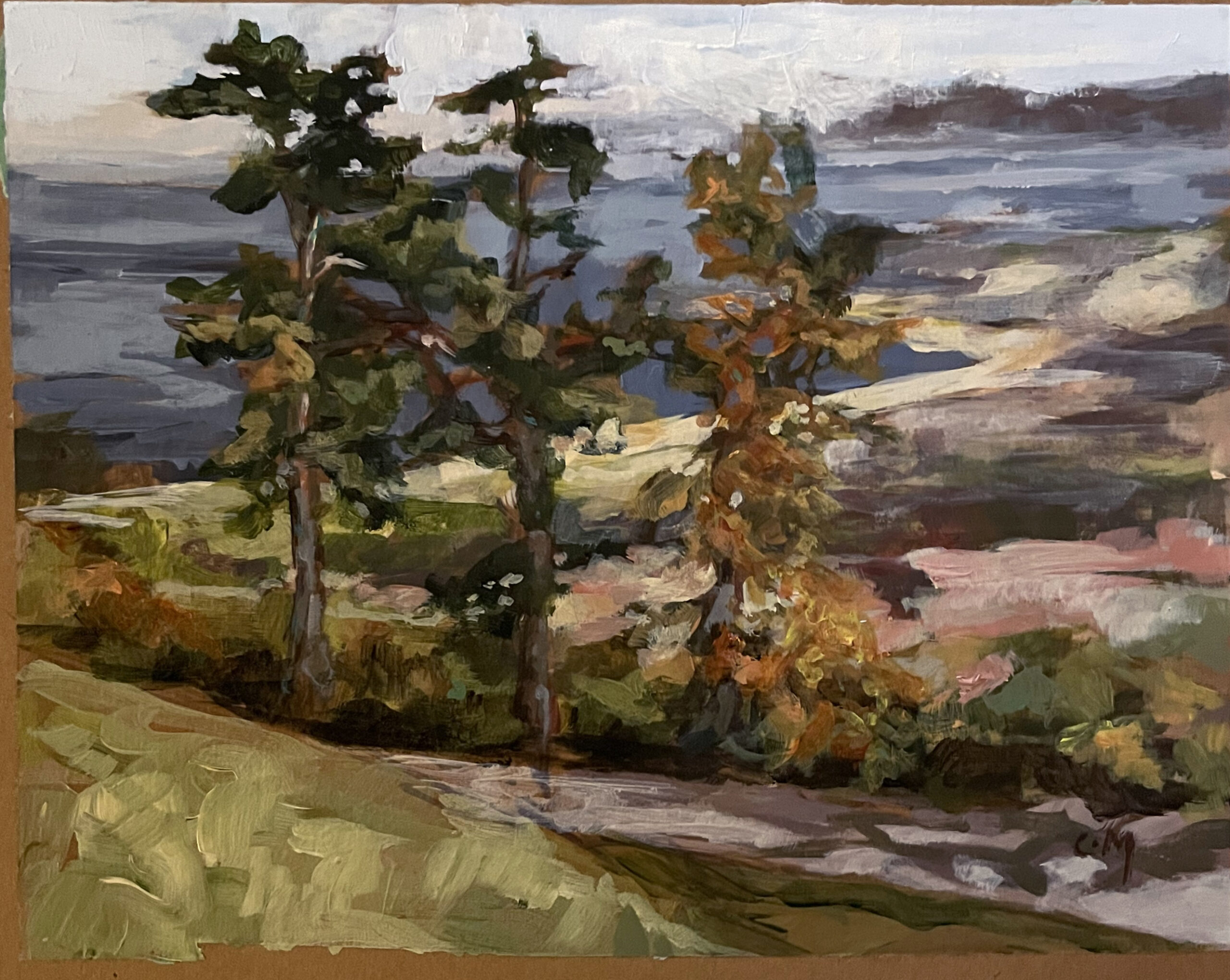 View of Cranes Beach to Halibut Point $375